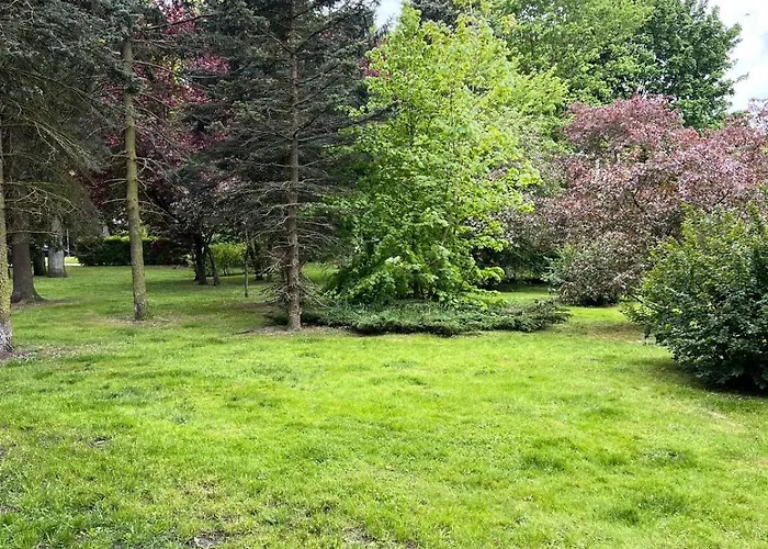 Am Baltic * コウォブジェク